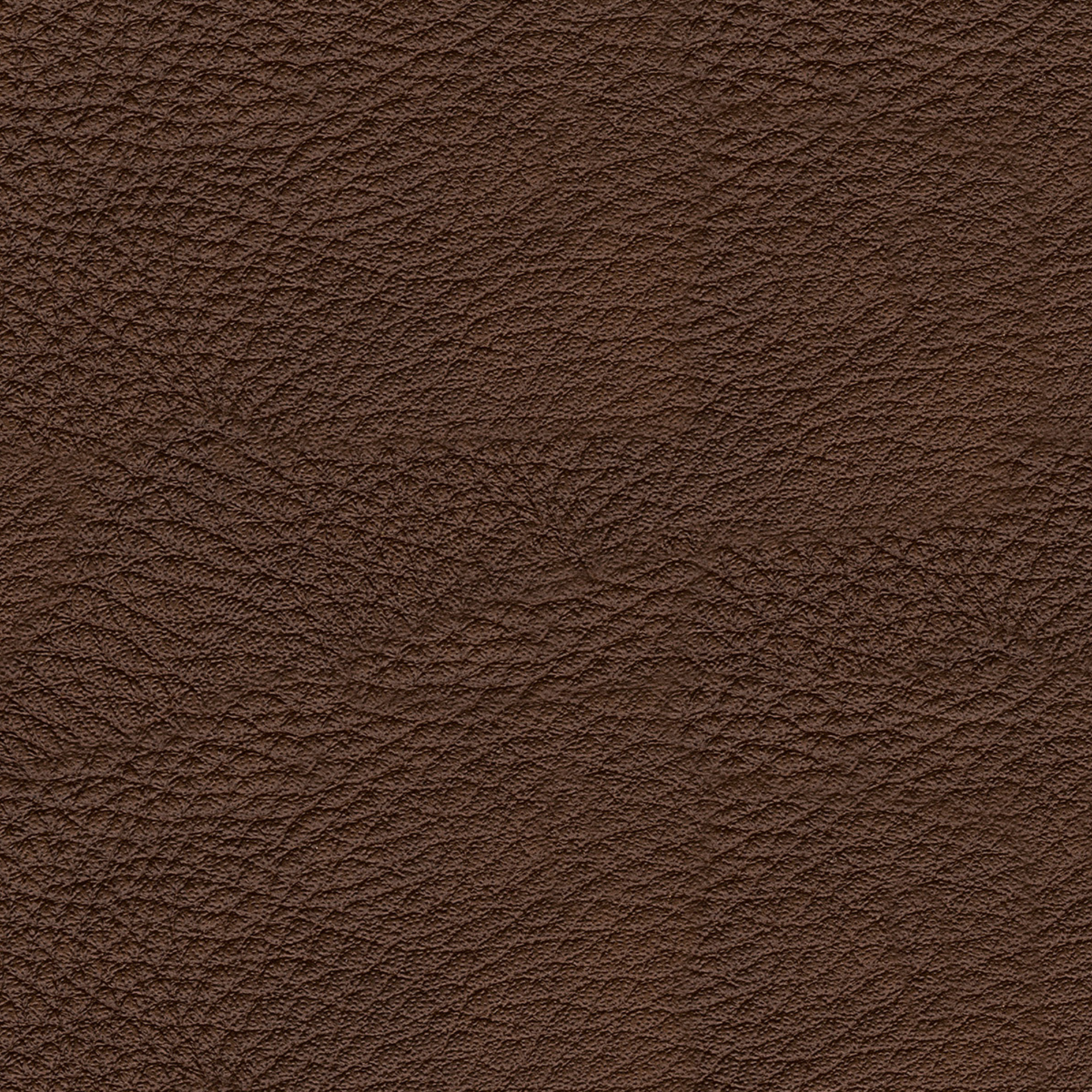 Kingston Recliner